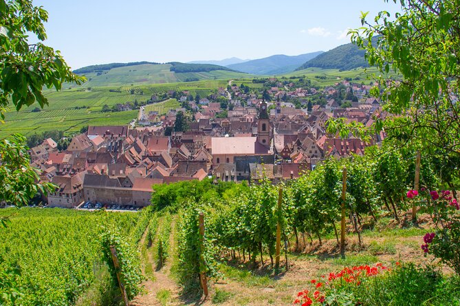 Alsace Wine Route Wineries & Tasting Small Group Guided Tour from Strasbourg - The final winery visits and Alsatian wine families