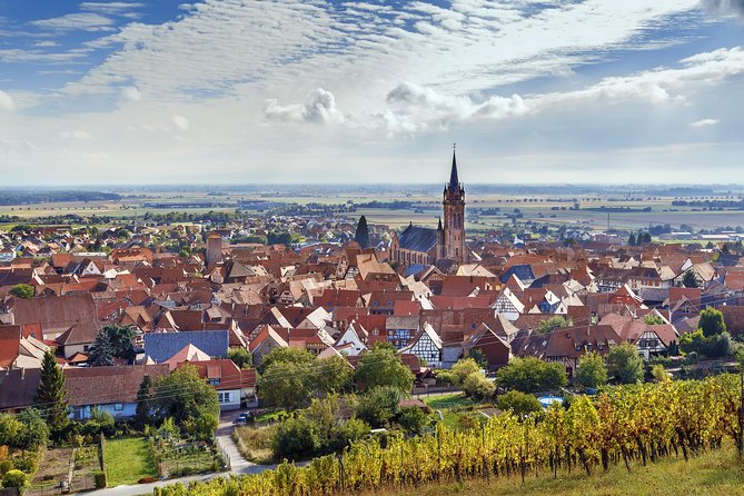 Alsace Wine Route Wineries & Tasting Small Group Guided Tour from Strasbourg - Who will enjoy this day most