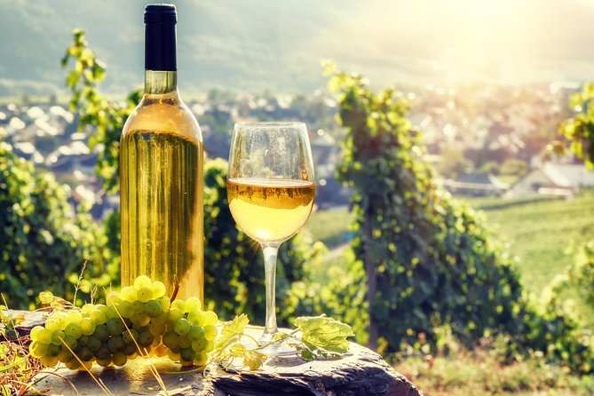 Alsace Wine Route Wineries & Tasting Small Group Guided Tour from Strasbourg - Dambach-la-Ville and the cellar experience