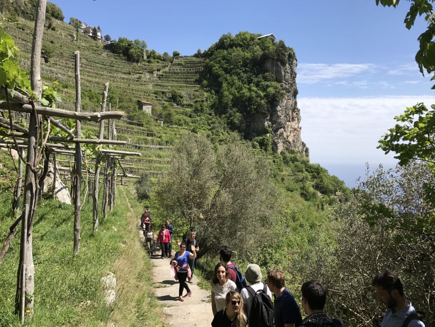 Amalfi: Walking tour between Furore vertical Vineyards - Walking through the Valle di Praia toward Furore
