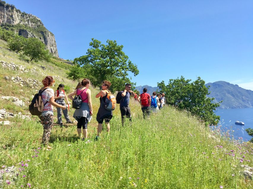 Amalfi: Walking tour between Furore vertical Vineyards - Entering Furore’s working vineyards
