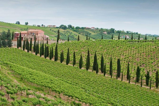 Among ancient sunny vineyards, visit and taste the wines from the San Lorenzo cellar - Key points to know before booking