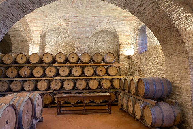 Among ancient sunny vineyards, visit and taste the wines from the San Lorenzo cellar - What the vineyard lesson actually covers