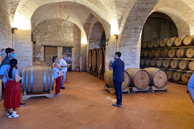 Among ancient sunny vineyards, visit and taste the wines from the San Lorenzo cellar - Tasting three wines in a sixteenth-century palace