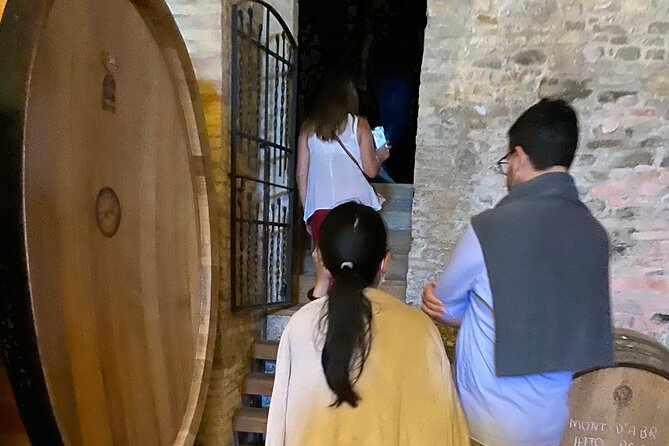 Among ancient sunny vineyards, visit and taste the wines from the San Lorenzo cellar - Is $34.73 a fair price?