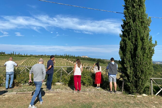 Among ancient sunny vineyards, visit and taste the wines from the San Lorenzo cellar - Weather, cancellations, and one important warning