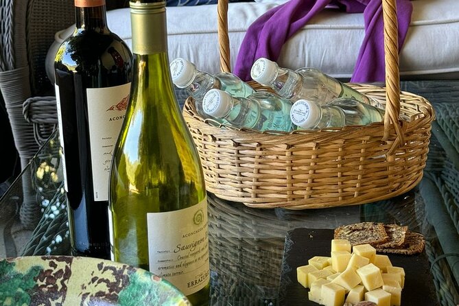 Andes Portillo & Aconcagua wine tour semi private - What the $129 price really covers