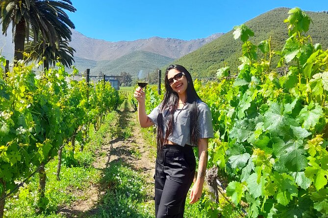 Andes Portillo & Aconcagua wine tour semi private - Laguna del Inca and the Portillo stop