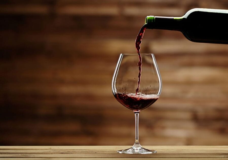 Apulia: Guided Vineyard Tour with Wine Tasting - Is the $47 price good value?