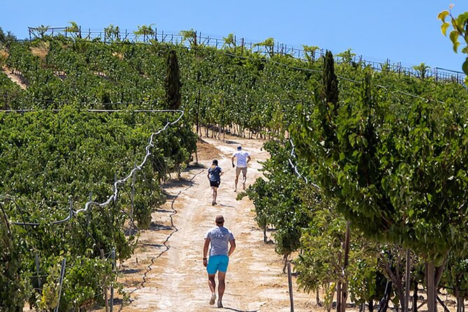 “ARISMARI” – Vineyard Tour & Wine Tasting - A Winery Visit That Ends Beneath the Vines