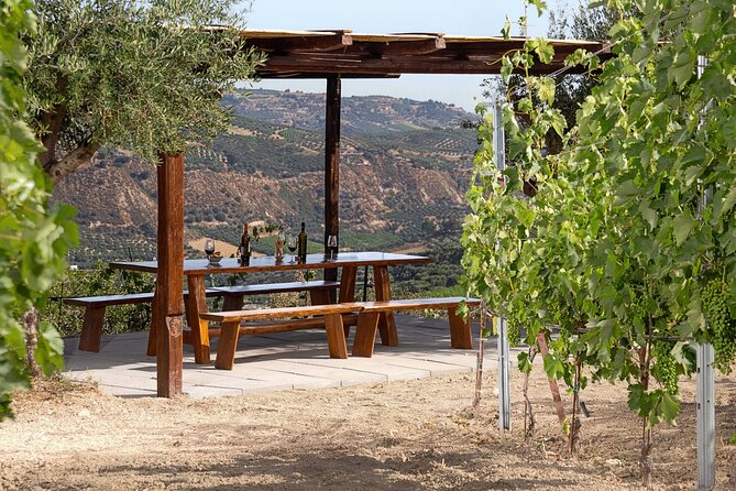 “ARISMARI” – Vineyard Tour & Wine Tasting - The Practical Question: Is $56.41 Good Value?
