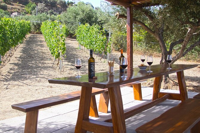“ARISMARI” – Vineyard Tour & Wine Tasting - Planning Your Visit to Dafnes