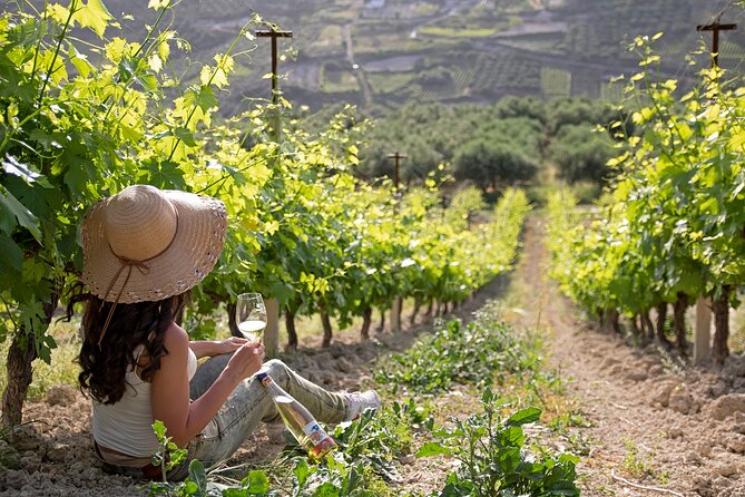 “ARISMARI” – Vineyard Tour & Wine Tasting - Walking Through the Sunlit Vineyard
