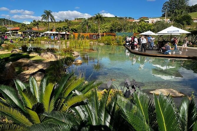 Art Of Wine – Travel Through The So-Called Wine Route Visiting Various Wineries - Who will enjoy this São Roque day trip?