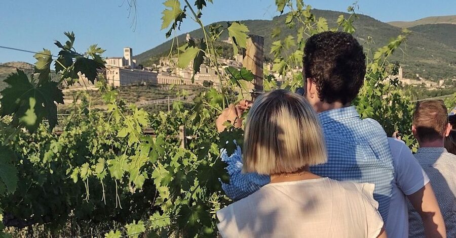 Assisi: Wine tasting, gourmet pairing, walk in the vineyards - What the 1.5-hour visit feels like
