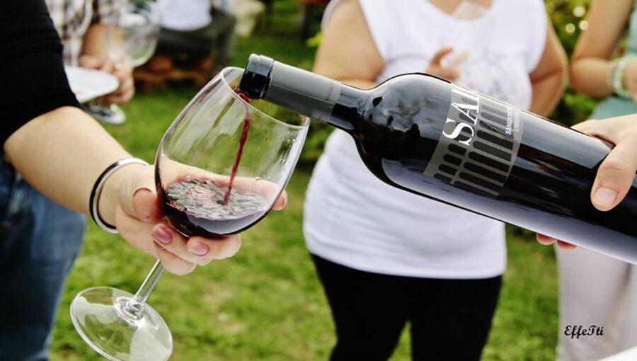 Assisi: Wine tasting, gourmet pairing, walk in the vineyards - The panoramic area and Assisi views