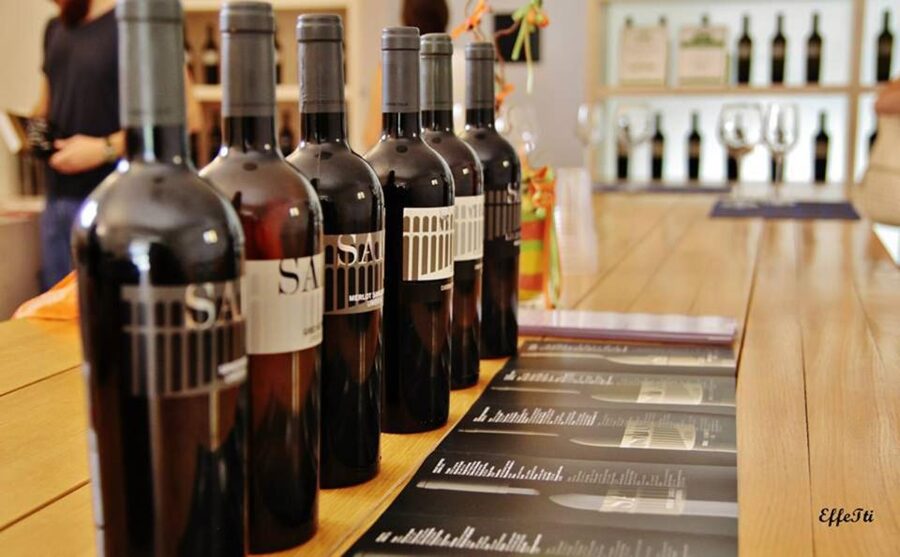 Assisi: Wine tasting, gourmet pairing, walk in the vineyards - Who will enjoy this SAIO Assisi experience?