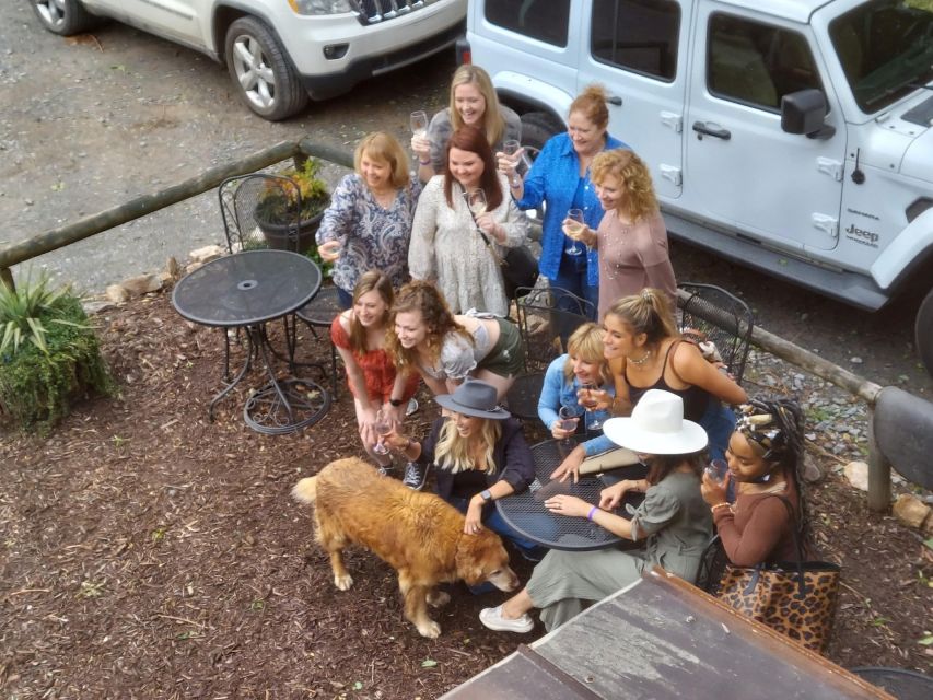 Atlanta pickups: North Georgia Wine Country 3 Vineyard Tour - A good fit for celebrations and group outings