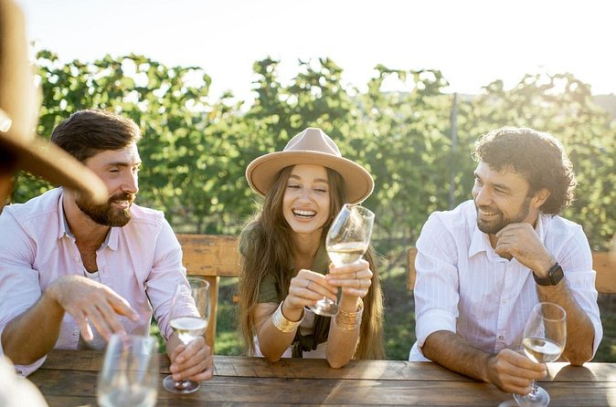 Atlanta Vineyards and Wines Full-Day Private Tour - The final ride back to Atlanta