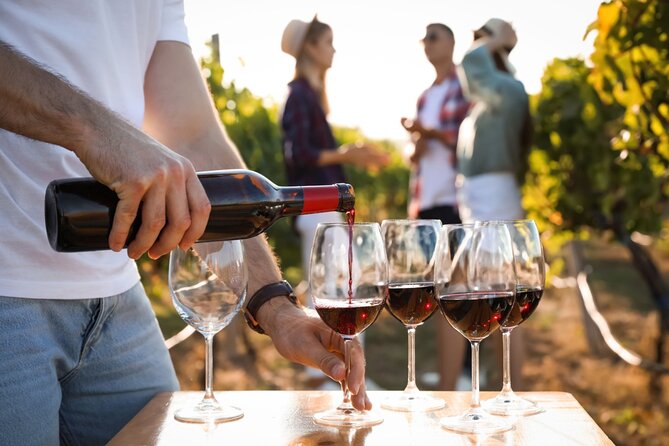 Atlanta Vineyards and Wines Full-Day Private Tour - Who gets the most from this private day