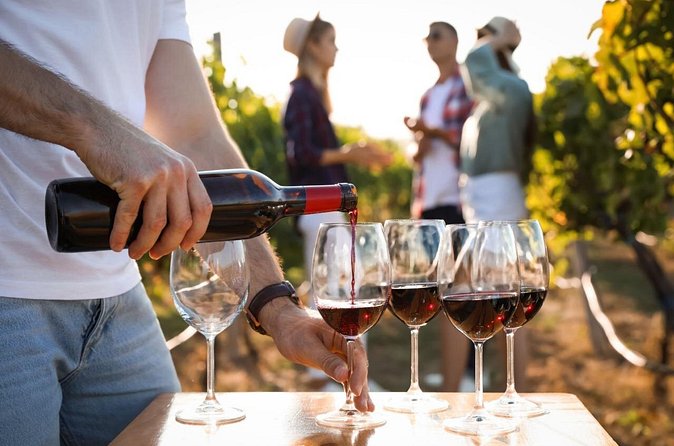 Atlanta Vineyards and Wines Full-Day Private Tour - A practical plan for making the day work