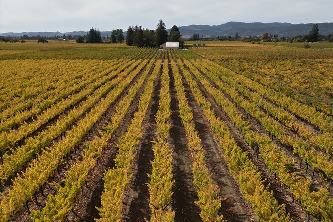 ATV Vineyard Tour and Wine Tasting - Why this Napa wine tour feels different
