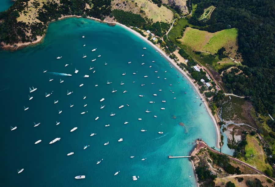 Auckland: Man O' War Vineyard Ferry (Waiheke Island) - Why Man O’ War feels different from a standard Waiheke wine trip