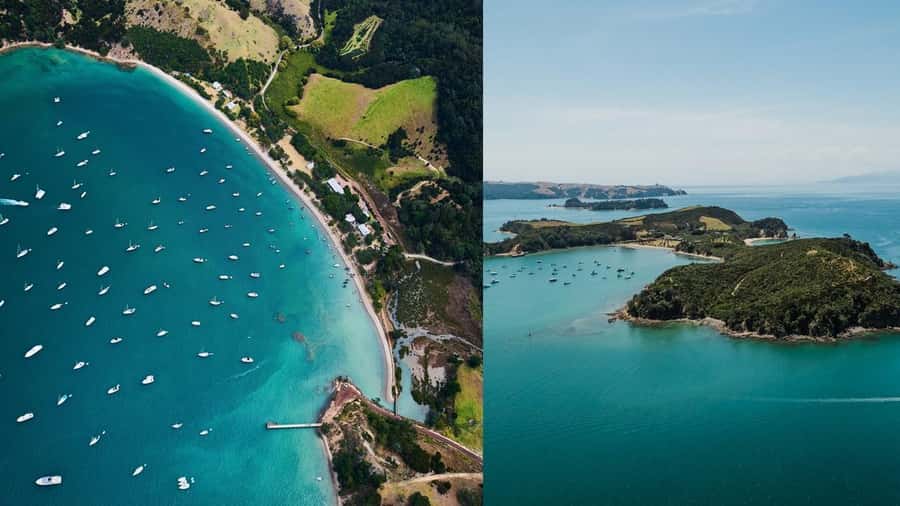 Auckland: Rotoroa Island and Man O'War Vineyard Combo Tour - The 75-minute cruise from Auckland