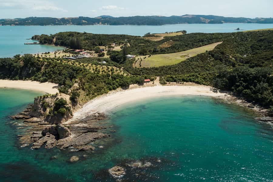 Auckland: Rotoroa Island and Man O'War Vineyard Combo Tour - The 15-minute boat ride to Man O’ War