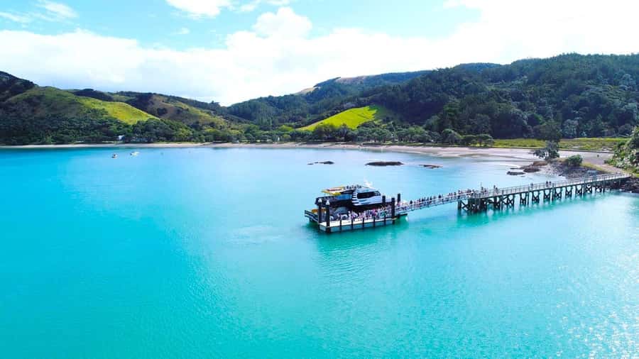 Auckland: Rotoroa Island and Man O'War Vineyard Combo Tour - Practical timing for weekdays and weekends