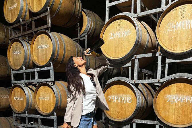 Auckland West Vineyard Tour with lunch and tastings incl - Crossing the Harbour Bridge toward West Auckland wine country