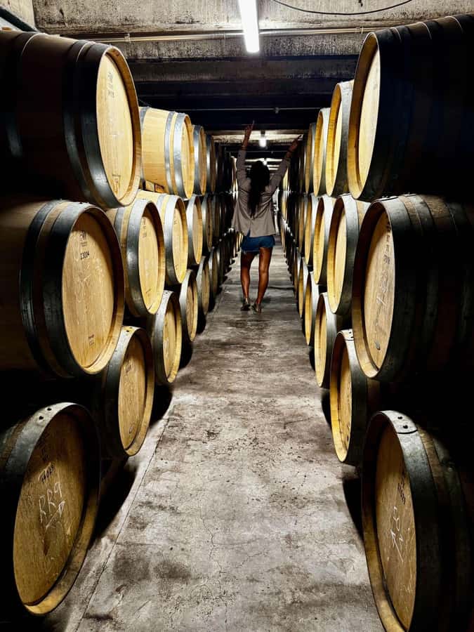 Auckland: Wine region tour with tastings and gourmet lunch - Crossing the Harbour Bridge into Auckland wine country