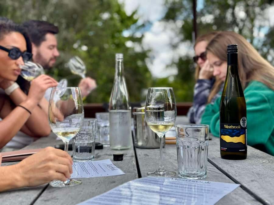 Auckland: Wine region tour with tastings and gourmet lunch - Should you book the Auckland wine region tour?