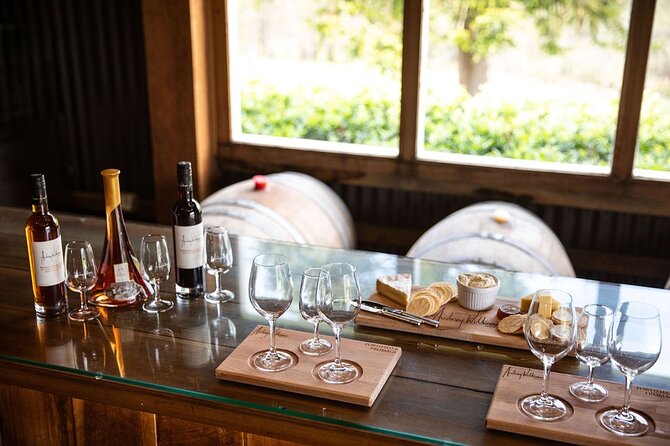 Audrey Wilkinson Vineyard: Fromage and Fortified Wine Experience - Vineyard views before and after your seat