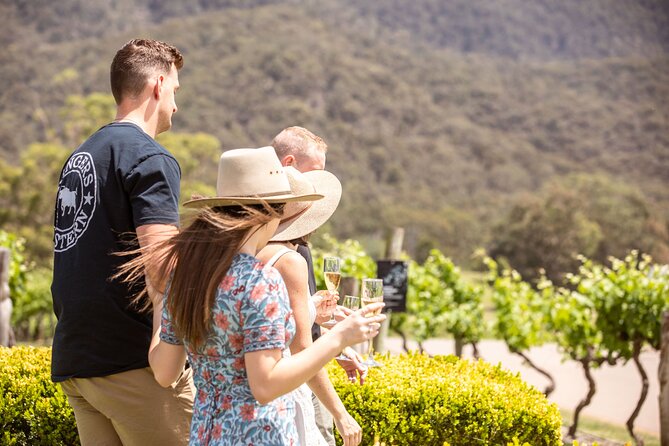Audrey Wilkinson Vineyard: Picnic with Wine Masterclass Tasting - What you receive for $68.14
