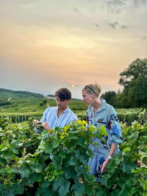 Authentic Champagne Tour: 3 vineyards, 10 Tastings & Lunch - Lunch with Champagne in the middle of the day