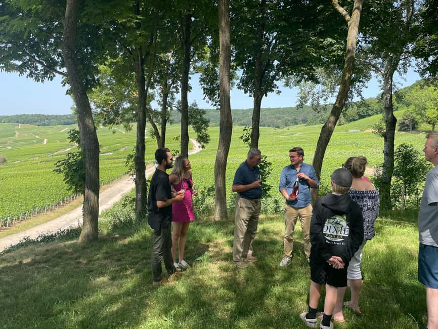 Authentic Champagne Tour: 3 vineyards, 10 Tastings & Lunch - How much wine will you taste?