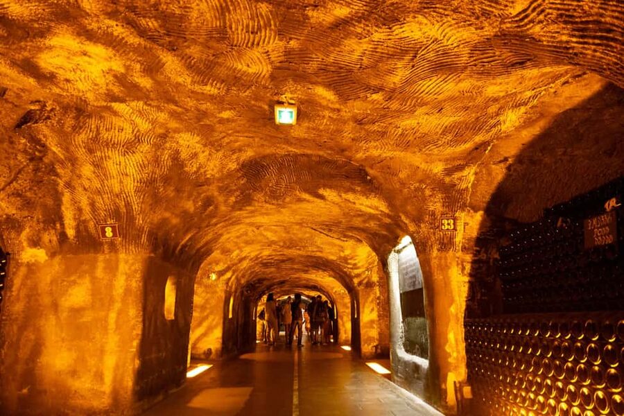 Authentic Champagne Tour: 3 vineyards, 10 Tastings & Lunch - Price, group size, and practical value