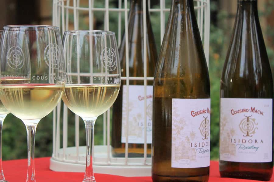Bahá'i Temple and Cousiño Macul Vineyard - Who should book this five-hour outing?