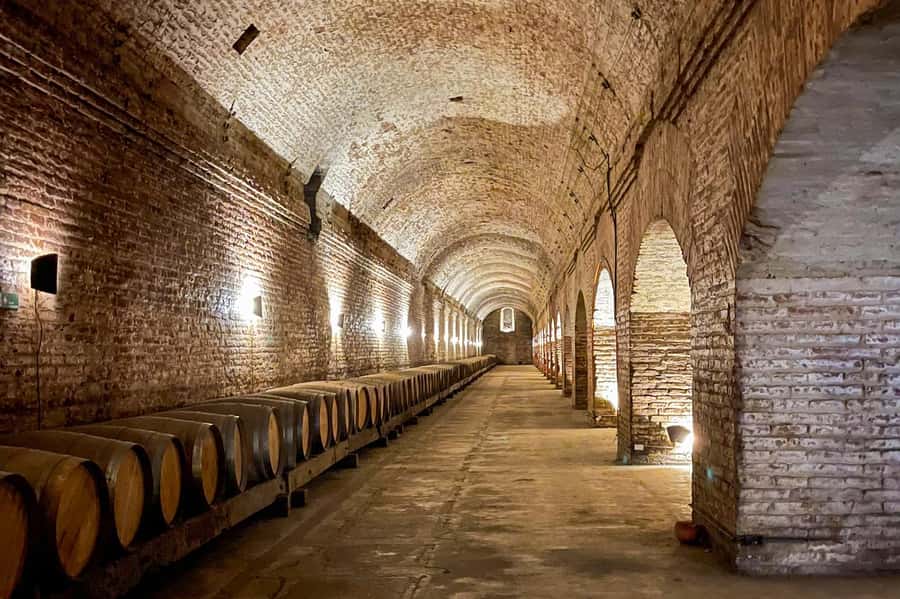 Bahá'i Temple and Cousiño Macul Vineyard - Inside the temple, architecture and silence take the lead