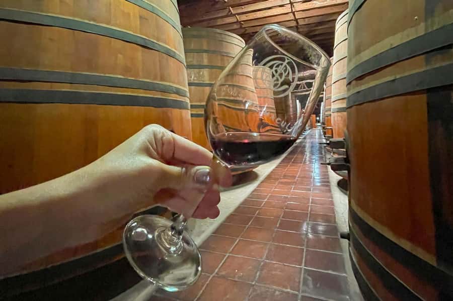 Bahá'i Temple and Cousiño Macul Vineyard - How the timing shapes the day