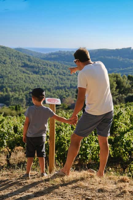 Bandol: Family Vineyard Tour and Tasting - Key points to know before you book