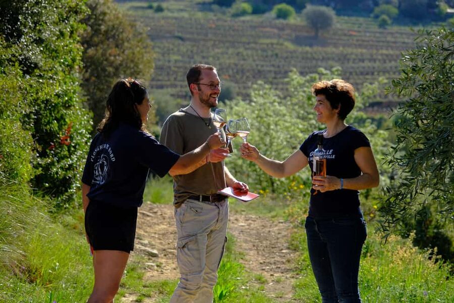 Bandol: Family Vineyard Tour and Tasting - Four Bandol wines in the tasting room