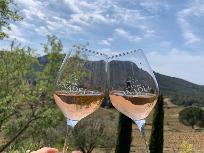 Bandol: Family Vineyard Tour and Tasting - Restanque vineyards and organic farming