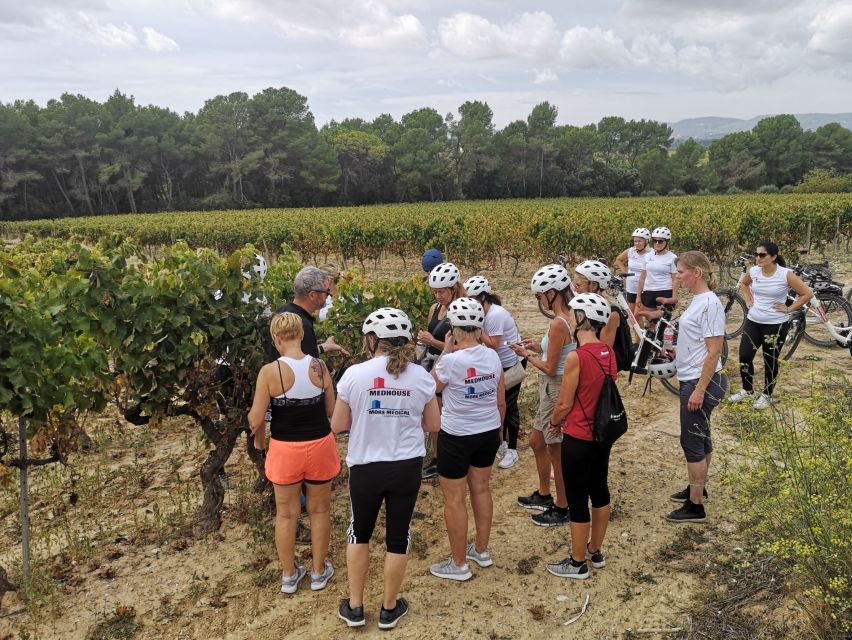 Barcelona: Bike & Wine Guided Tour - Penedès vineyards - FAQ