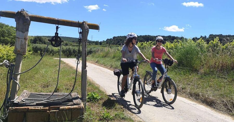 Barcelona: Bike & Wine Guided Tour - Penedès vineyards - Learning from a local wine guide