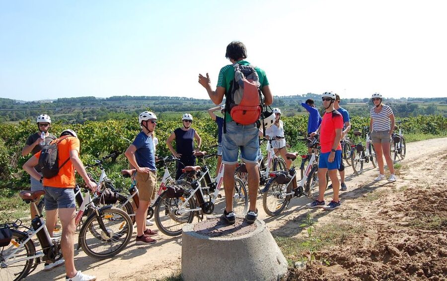 Barcelona: Bike & Wine Guided Tour - Penedès vineyards - Visiting a traditional organic winery