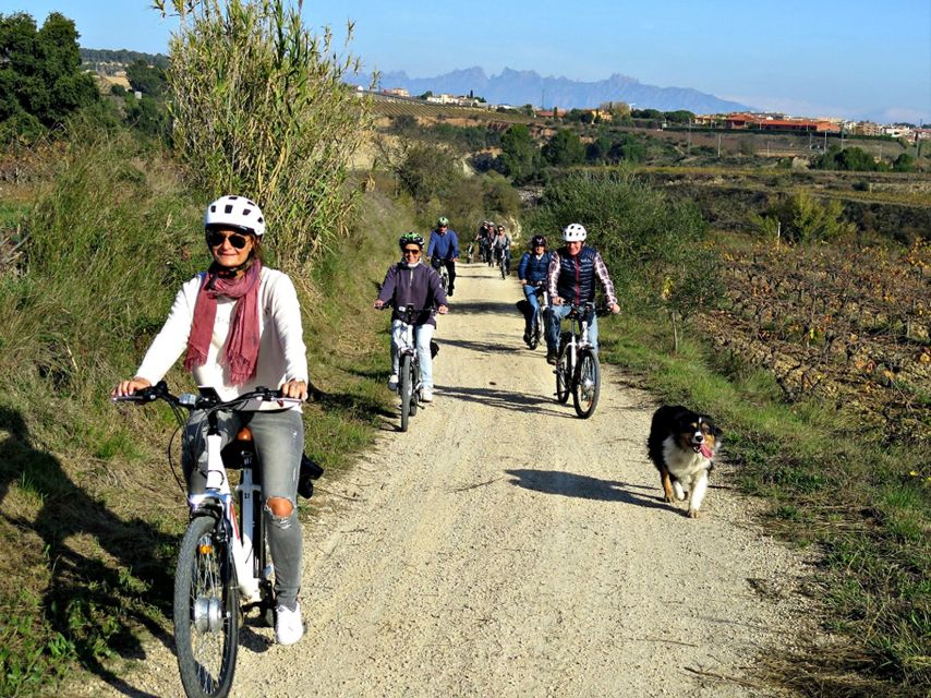 Barcelona: Bike & Wine Guided Tour - Penedès vineyards - Tasting three glasses of wine and cava