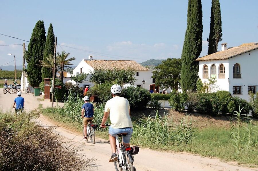 Barcelona: Bike & Wine Guided Tour - Penedès vineyards - Who will enjoy this four-hour outing