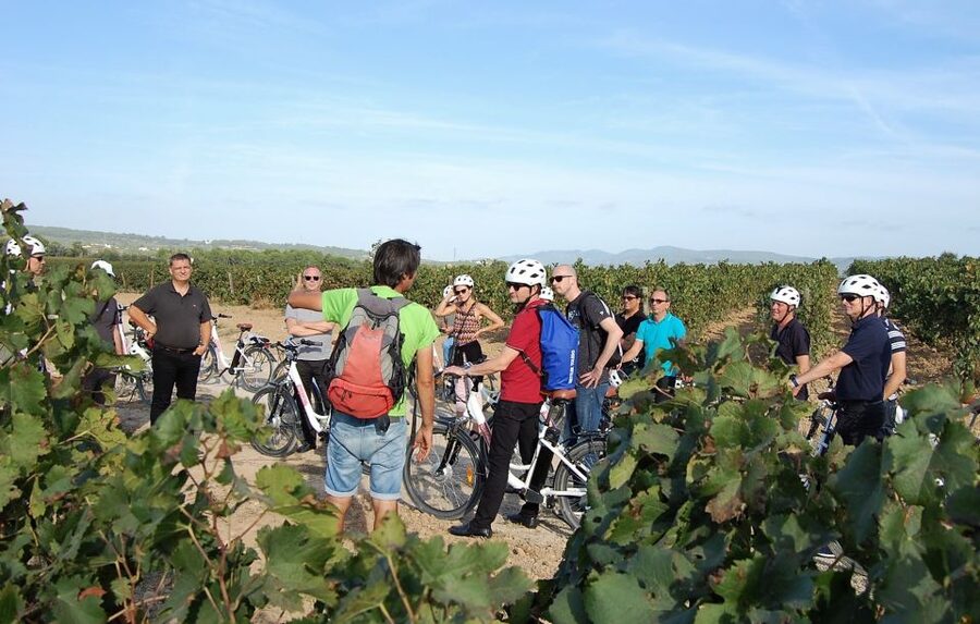 Barcelona: Bike & Wine Guided Tour - Penedès vineyards - Practical details before you book